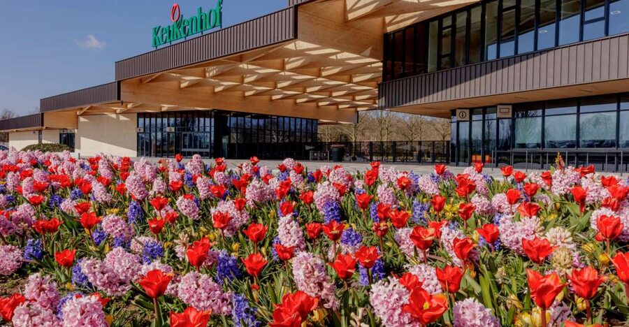Amsterdam: Half-Day Flower Fields and Keukenhof Bicycle Tour - Two hours inside Keukenhof