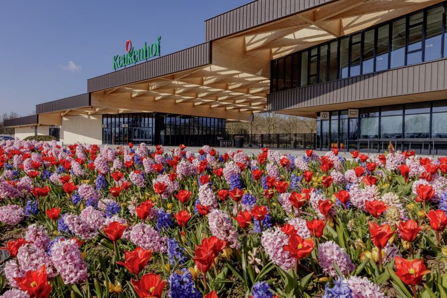 Amsterdam: Half-Day Flower Fields and Keukenhof Bicycle Tour - A flower nursery adds useful context