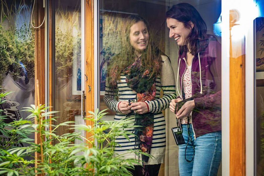 Amsterdam: Hash, Marihuana, and Hemp Museum Entry Ticket - What you see inside Amsterdam’s oldest cannabis museum