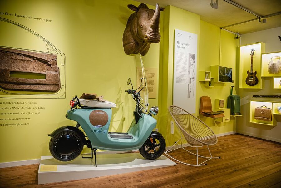 Amsterdam: Hash, Marihuana, and Hemp Museum Entry Ticket - Is the $11 ticket good value?