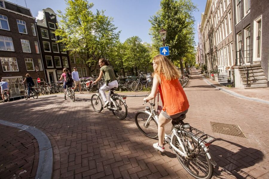 Amsterdam: Hidden Gems & Highlights Guided Bike Tour - Cruising through Vondelpark