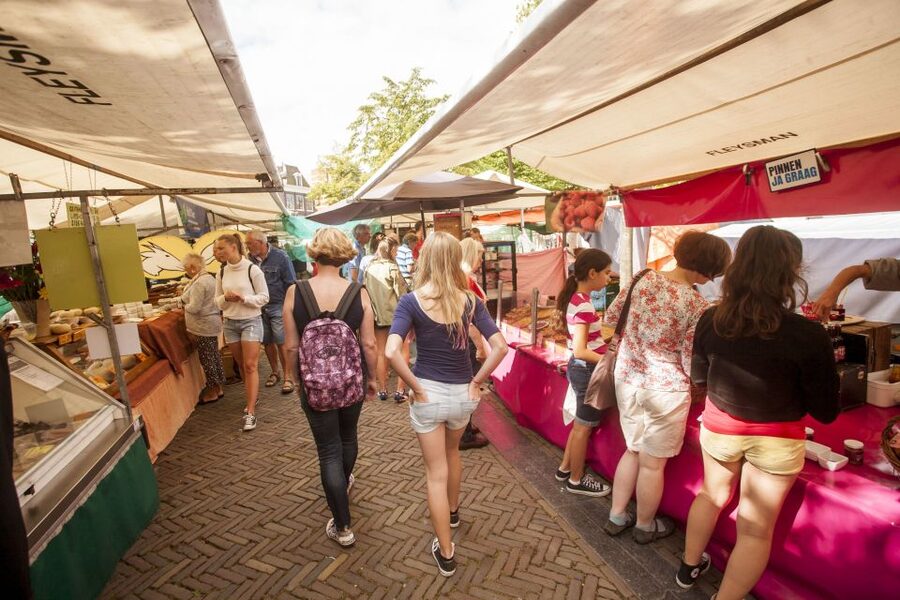 Amsterdam: Hidden Gems & Highlights Guided Bike Tour - The guides shape the experience