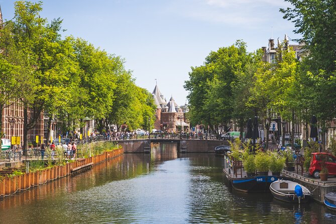 Amsterdam Highlights Small-Group Walking Tour - Dam Square and the city’s grand center