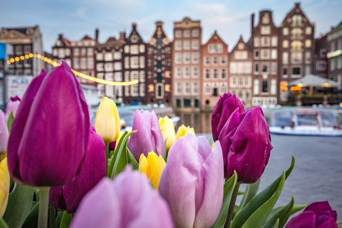 Amsterdam Highlights Walking Tour - Key points at a glance