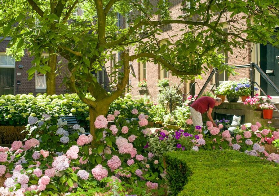 Amsterdam: Jordaan District Tour with a German guide - Is $27 a fair price?