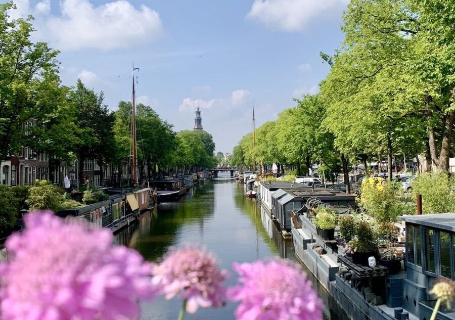 Amsterdam: Jordaan District Tour with a German guide - Small group, private tour, and the pace of 90 minutes