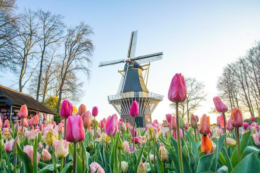 Amsterdam: Keukenhof and Zaanse Schans Live Guided Day Tour - What the $71 price really covers