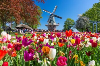 Keukenhof Entry & Shuttle Bus with Flexible Return