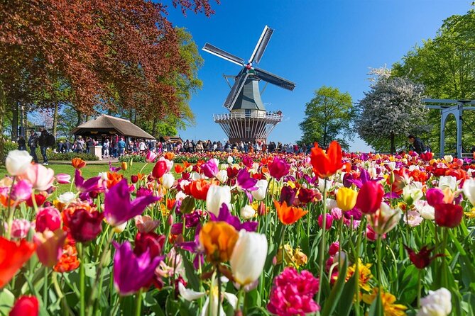 Amsterdam: Keukenhof Entry & Shuttle Bus with Flexible Return - What you see inside Keukenhof