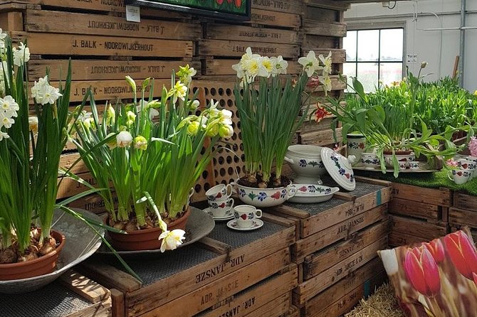 Amsterdam : Keukenhof FlowerFarm Privatetour Skip-The-Line ticket - From Formal Displays to De Tulperij