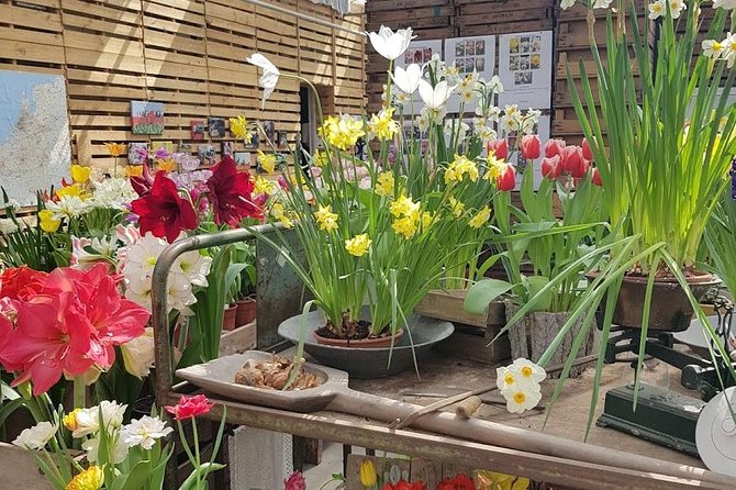 Amsterdam : Keukenhof FlowerFarm Privatetour Skip-The-Line ticket - The Photo Opportunities Are Part of the Point
