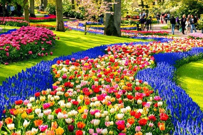 Amsterdam : Keukenhof FlowerFarm Privatetour Skip-The-Line ticket - Timing, Crowds, and Flower Conditions