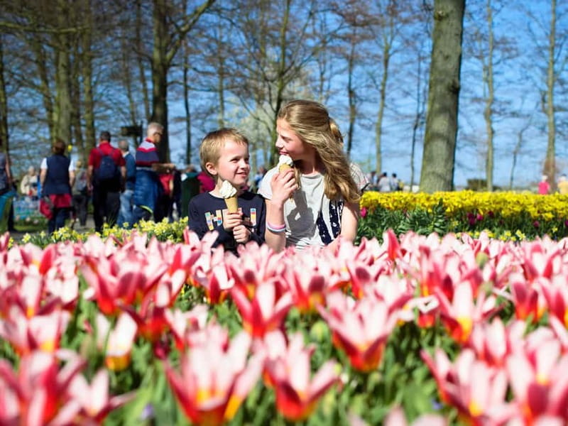 Amsterdam: Keukenhof Ticket and Roundtrip Shuttle Transfer - Key points to know before booking