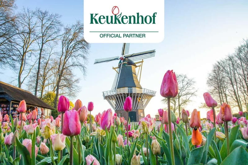 Amsterdam: Keukenhof Ticket and Roundtrip Shuttle Transfer - Why this Keukenhof transfer works so well