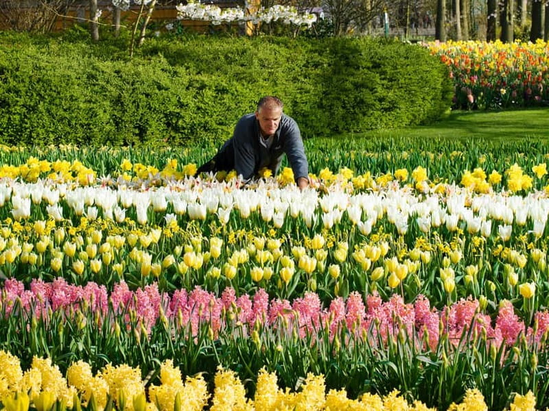 Amsterdam: Keukenhof Ticket and Roundtrip Shuttle Transfer - The coach ride to Keukenhof