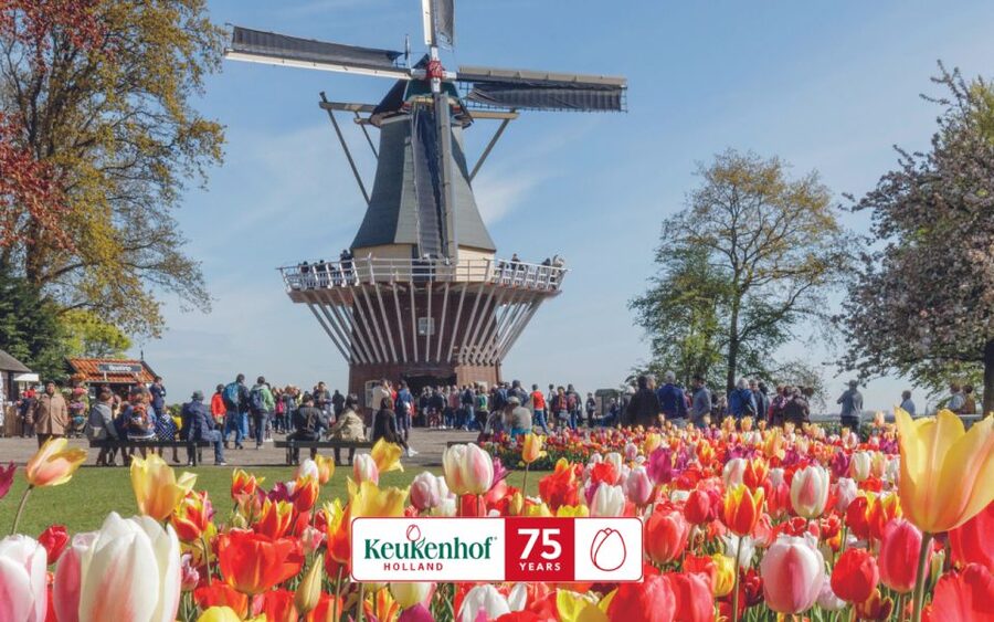 Amsterdam: Keukenhof Ticket and Roundtrip Shuttle Transfer - Entering Keukenhof with your official ticket