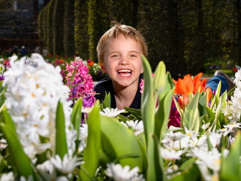 Amsterdam: Keukenhof Ticket and Roundtrip Shuttle Transfer - How long should you spend inside?