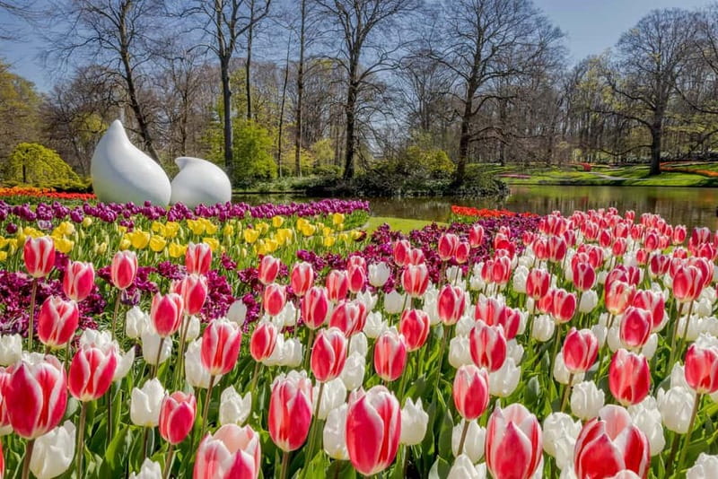 Amsterdam: Keukenhof Ticket and Roundtrip Shuttle Transfer - What this experience does not include