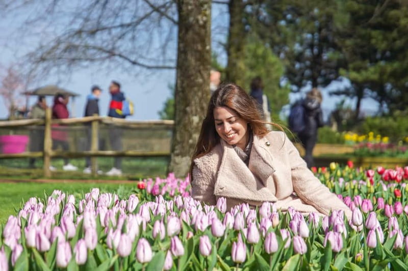 Amsterdam: Keukenhof Ticket and Roundtrip Shuttle Transfer - Value, comfort, and the small hassles