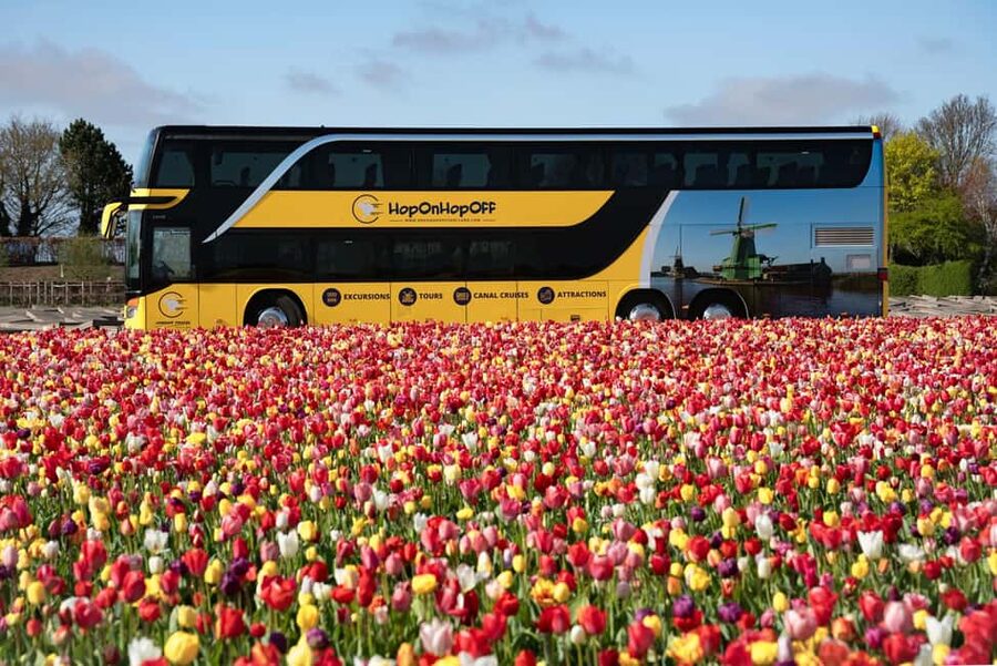Amsterdam: Keukenhof, Tulip Farm Full-Day Tour with Cruise - Who will get the most from this tour?