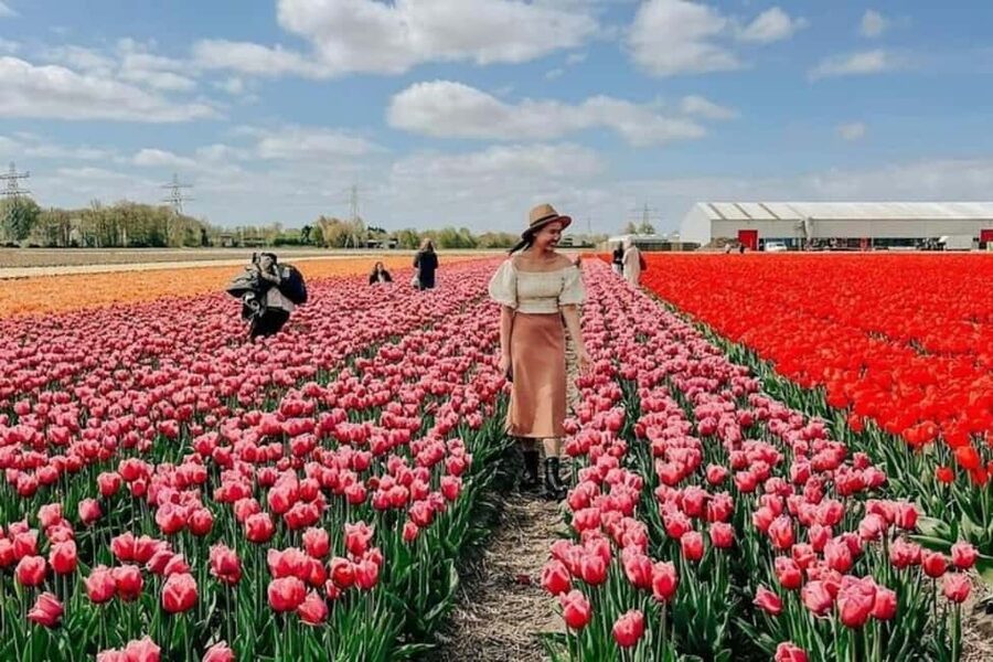 Amsterdam: Keukenhof, Tulip Farm Full-Day Tour with Cruise - 9 a.m. departure and the ride south