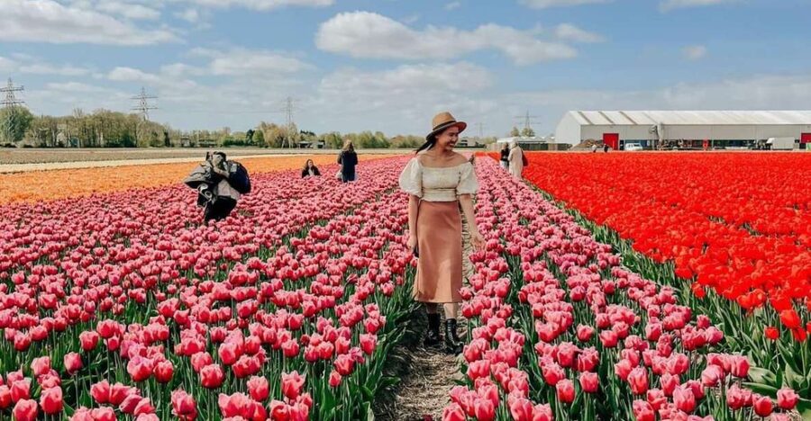 Amsterdam: Keukenhof, Tulip Farm Full-Day Tour with Cruise - Daan and Anja’s tulip farm at 10 a.m.