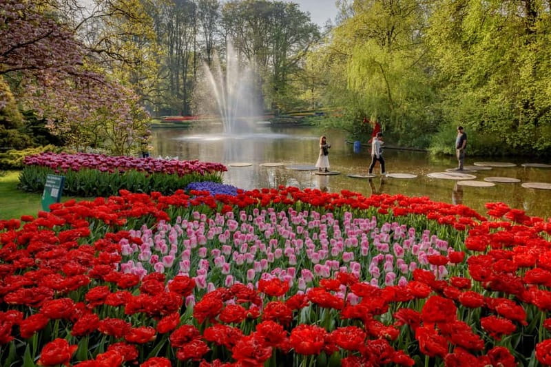 Amsterdam: Keukenhof, Tulip Farm Full-Day Tour with Cruise - Noon cruise on the Kagerplassen