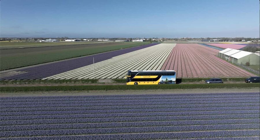 Amsterdam: Keukenhof, Tulip Farm Full-Day Tour with Cruise - The flower region transfer to Keukenhof