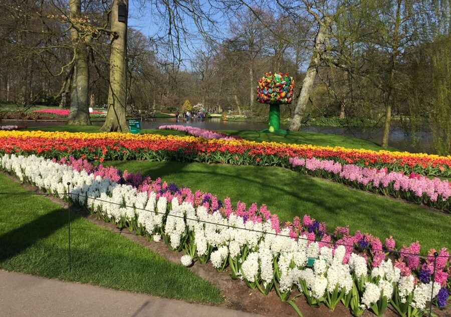 Amsterdam: Keukenhof Tulip Garden and Giethoorn Experience - Why this two-stop day trip works