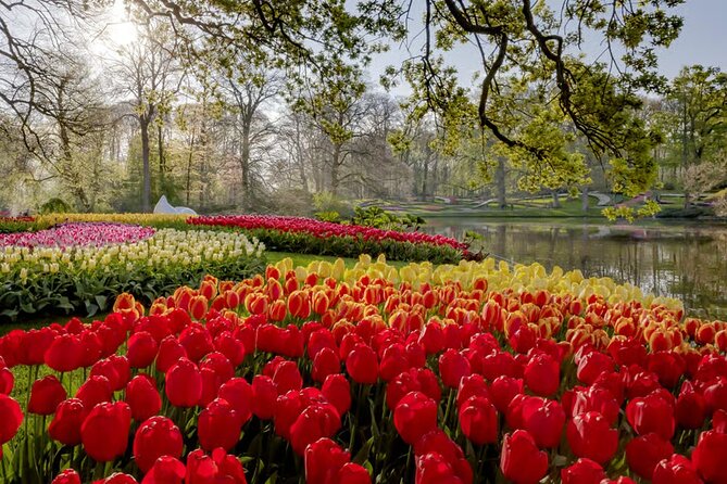 Amsterdam: Keukenhof, Zaanse Schans & Volendam Tour - How the long day feels