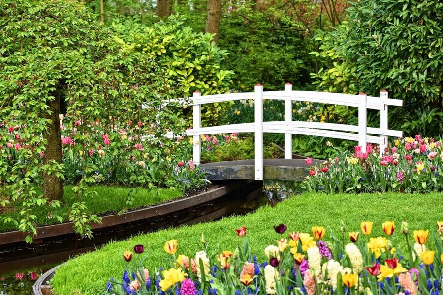 Amsterdam: Keukenhof & Zaanse Schans Windmills Private Tour - Cheese tasting at Henri Willig