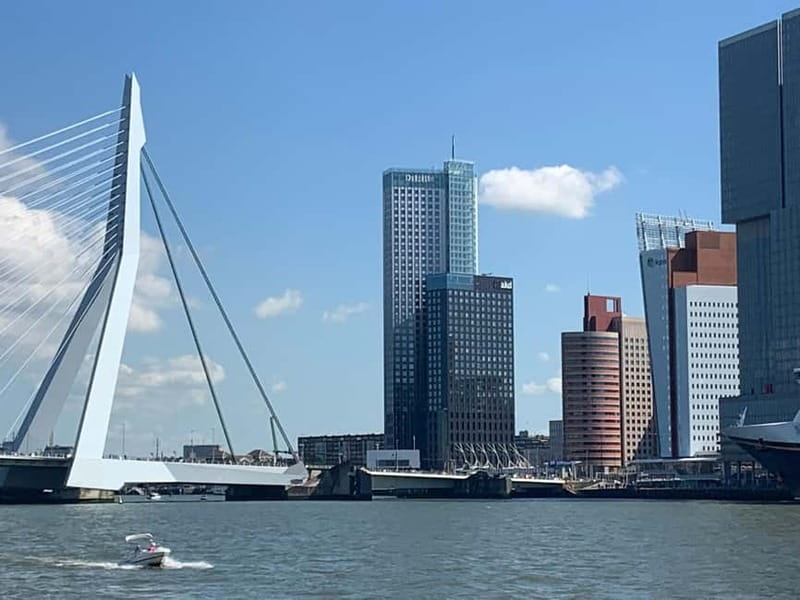 Amsterdam: Kinderdijk, Euromast, Delft and Den Haag Day Tour - Life in the small van