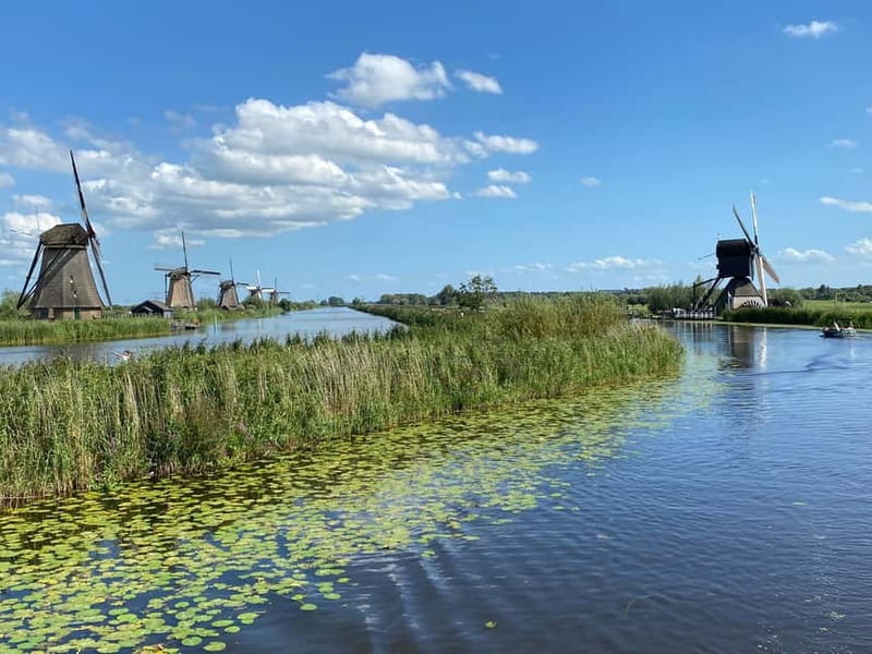 Amsterdam: Kinderdijk, Euromast, Delft and Den Haag Day Tour - Who will enjoy this day most?