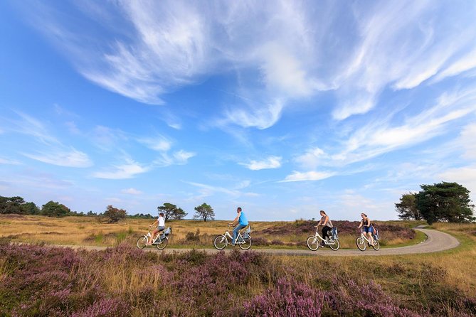 Amsterdam: Kröller Müller Museum and Hoge Veluwe NP Private Tour - Is $72 good value?