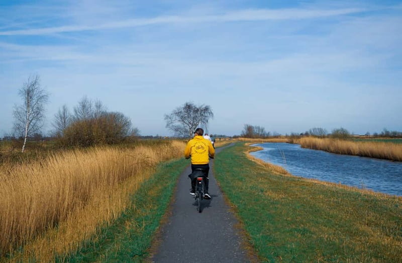 Amsterdam: Leisurely Windmill & Countryside Bike Ride - Cheese, a local cooperative and very large pigs