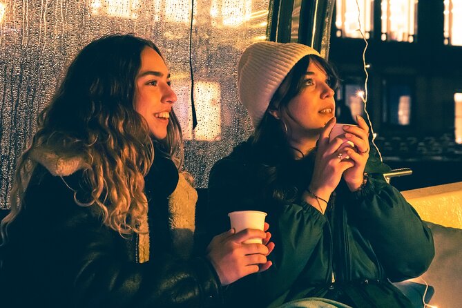 Amsterdam: Light Festival Cruise with Unlimited Drinks Option - A small boat and a big winter view