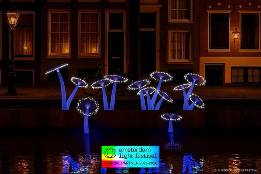 Amsterdam: Light Festival Heated Cruise with Drinks & Snacks - Comfort, photos, children, and mobility