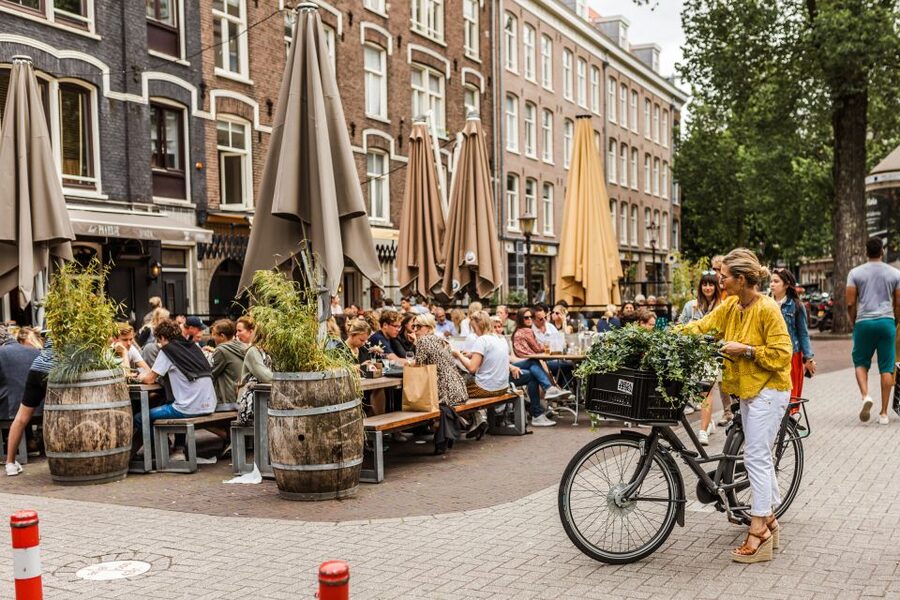Amsterdam: Off-the-Beaten-Track Neighborhoods Private Tour - Amsterdam-Noord: film, parks, and the old shipyard