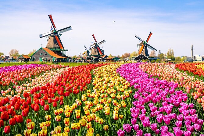 Amsterdam Pass: 45+ Things To Do - Includes Rijksmuseum - Day trips beyond the canal belt