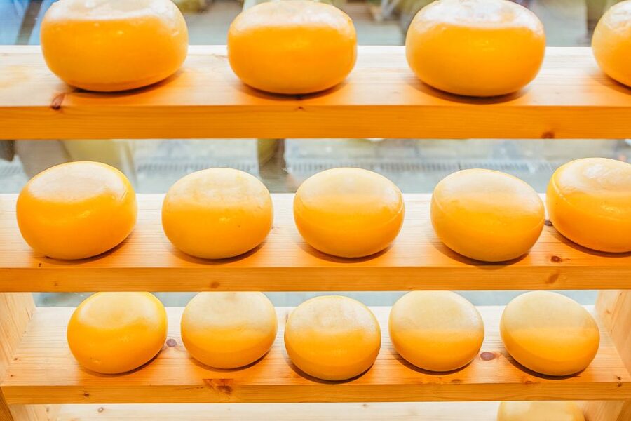 Amsterdam: Premium Henri Willig Cheese Tasting Experience - Ten pieces of Gouda, with more variety than the name suggests