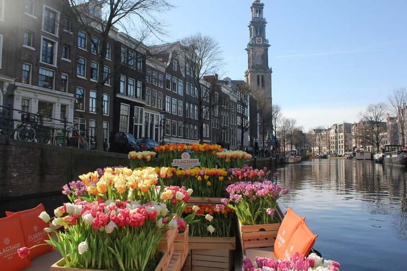 Amsterdam: Premium Tulip Boat Canal Tour - Why this tulip boat is different from a standard canal cruise