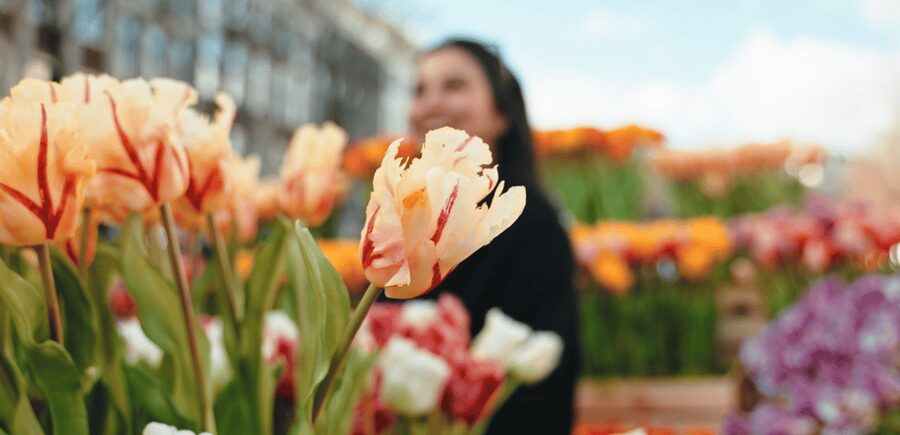 Amsterdam: Premium Tulip Boat Canal Tour - Passing the Anne Frank House and the Amstel River