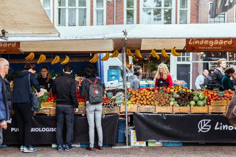 Amsterdam: Private Food Tour with a Local - Vegetarian options and food expectations