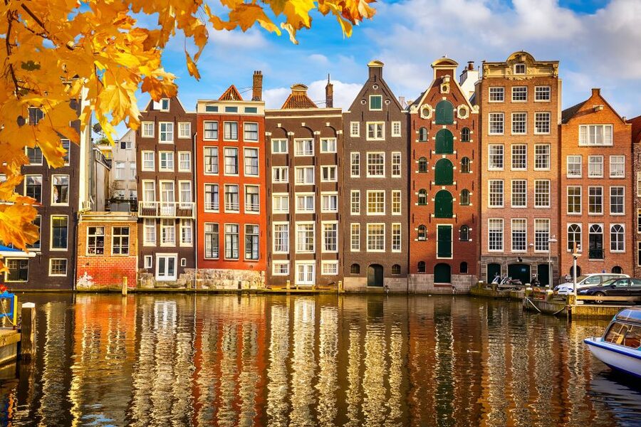 Amsterdam: Private Guided Walking Tour - Who should book this Amsterdam walk?
