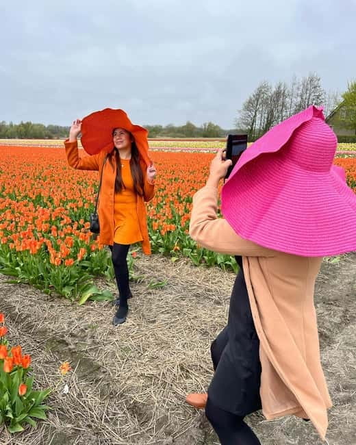 Amsterdam: Private Keukenhof and Free Tulip Tour - Key points to know before booking