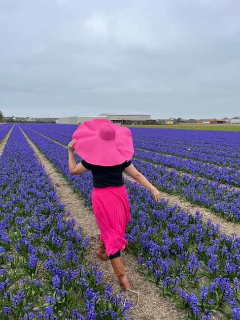 Amsterdam: Private Keukenhof and Free Tulip Tour - Who will get the most from this outing