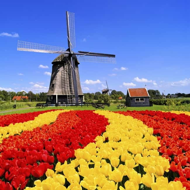 Amsterdam: Private Keukenhof and Free Tulip Tour - The private pickup makes the morning easier