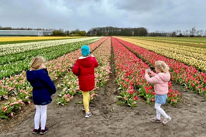 Amsterdam Private Tour to Keukenhof, Tulip Fields and Windmills - Why this private day trip works