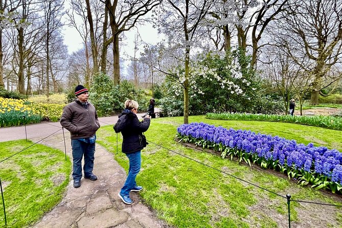 Amsterdam Private Tour to Keukenhof, Tulip Fields and Windmills - Zaanse Schans and the working windmills