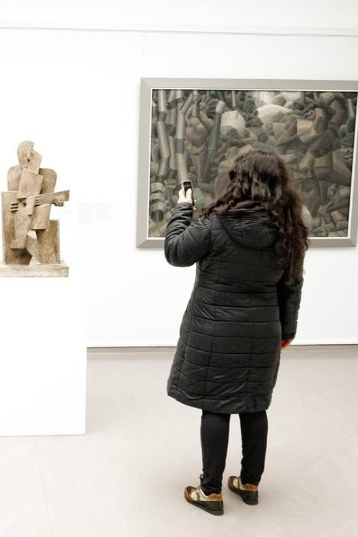 Amsterdam: Private tour to Kröller-Müller Museum - Who should book this private museum outing?